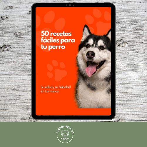 50 recetas fáciles para tu perro