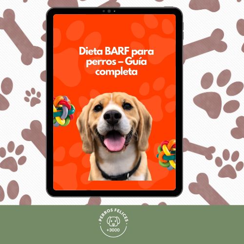 Dieta BARF para perros – Guía completa