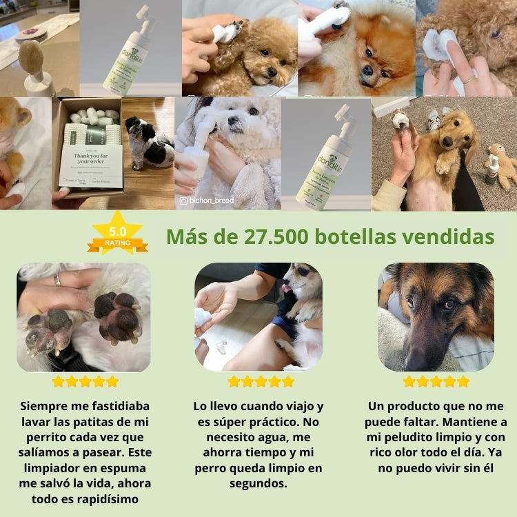 Espuma 150 ml + Cepillo: 🎁 Incluye GRATIS Libro Digital