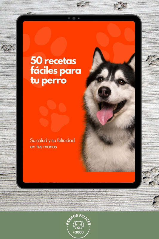 50 recetas fáciles para tu perro