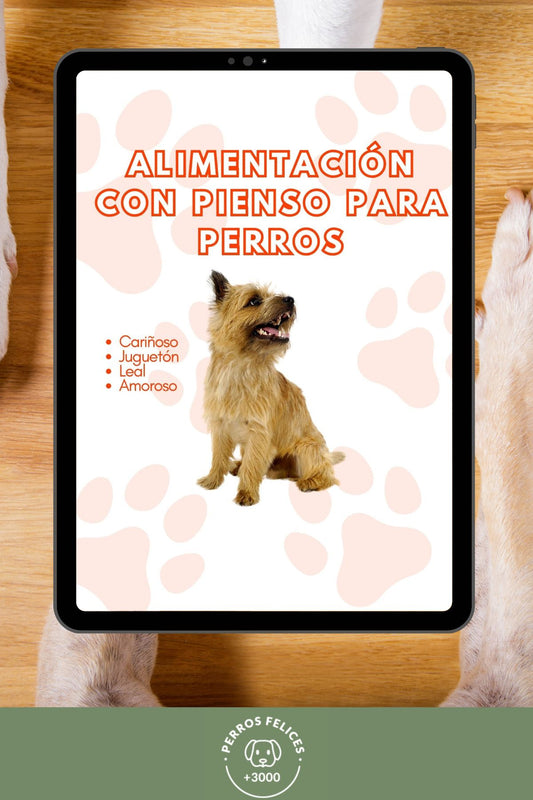 Alimentación con pienso para perros