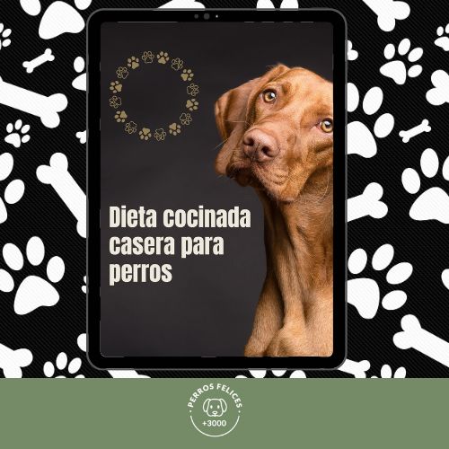 Dieta cocinada casera para perros