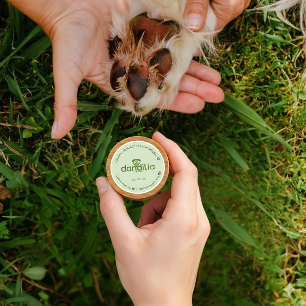 Bálsamo Recuperador Dandilia – Patitas (15 g)