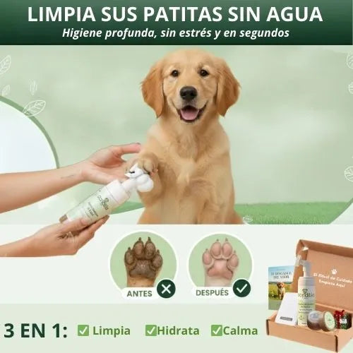 Espuma 150 ml + Cepillo: 🎁 Incluye GRATIS Libro Digital