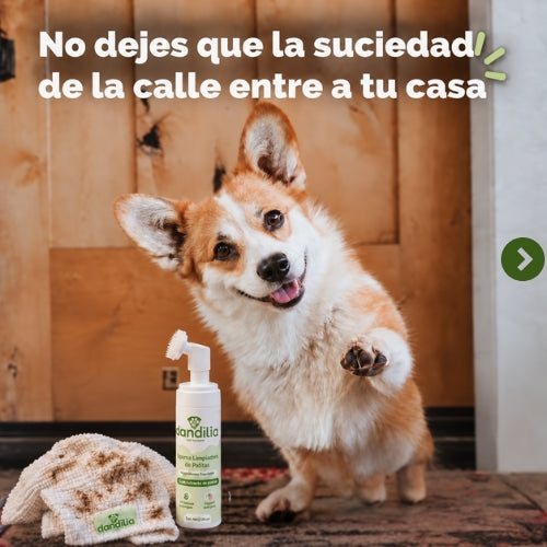 Espuma 150 ml, Cepillo y Obsequio