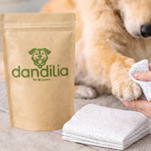 Toallitas Secas Clean Paws ( und.)